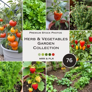 May include: A collage of 76 images featuring a variety of herbs and vegetables growing in a garden. The images include close-ups of tomatoes, peppers, cucumbers, strawberries, and herbs. The text "PREMIUM STOCK PHOTOS HERB & VEGETABLES GARDEN COLLECTION MRR & PLR 76" is displayed in the center of the collage.