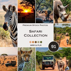 Safari Stock Photos Wildlife Landscape Animals Savanna Aesthetic Photos Faceless Marketing Plr Mrr Reel Cover