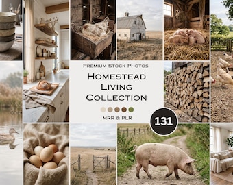 Homestead Living Stock Photos Farm Chicken Cow Aesthetic Photos Faceless Marketing Plr Mrr Reel Cover