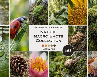 Nature Macro Shots Stock Photos Beauty Animals Bugs Butterfly Aesthetic Photos Faceless Marketing PLR MRR Reel Cover