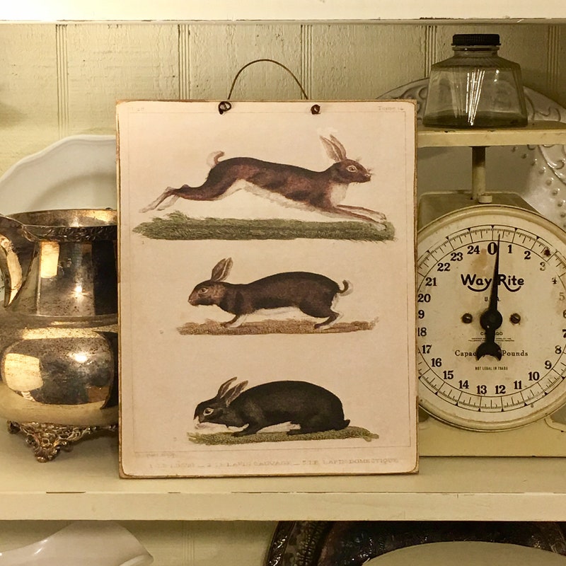 DaisyPatchPrimitives - Etsy