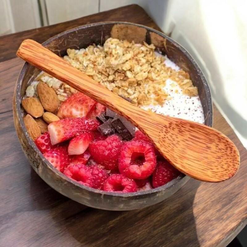 Natural Coconut Shell Bowl Eco-friendly Wooden Bowl for Desserts ...