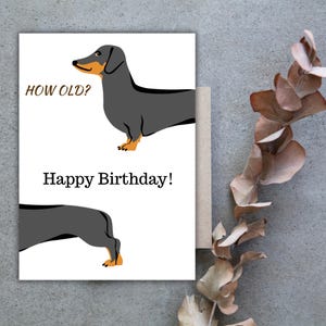 Carte d’anniversaire à imprimer amusante chien, Joyeux anniversaire imprimable drôle, Carte d’anniversaire numérique How old?, Souhait d’ann