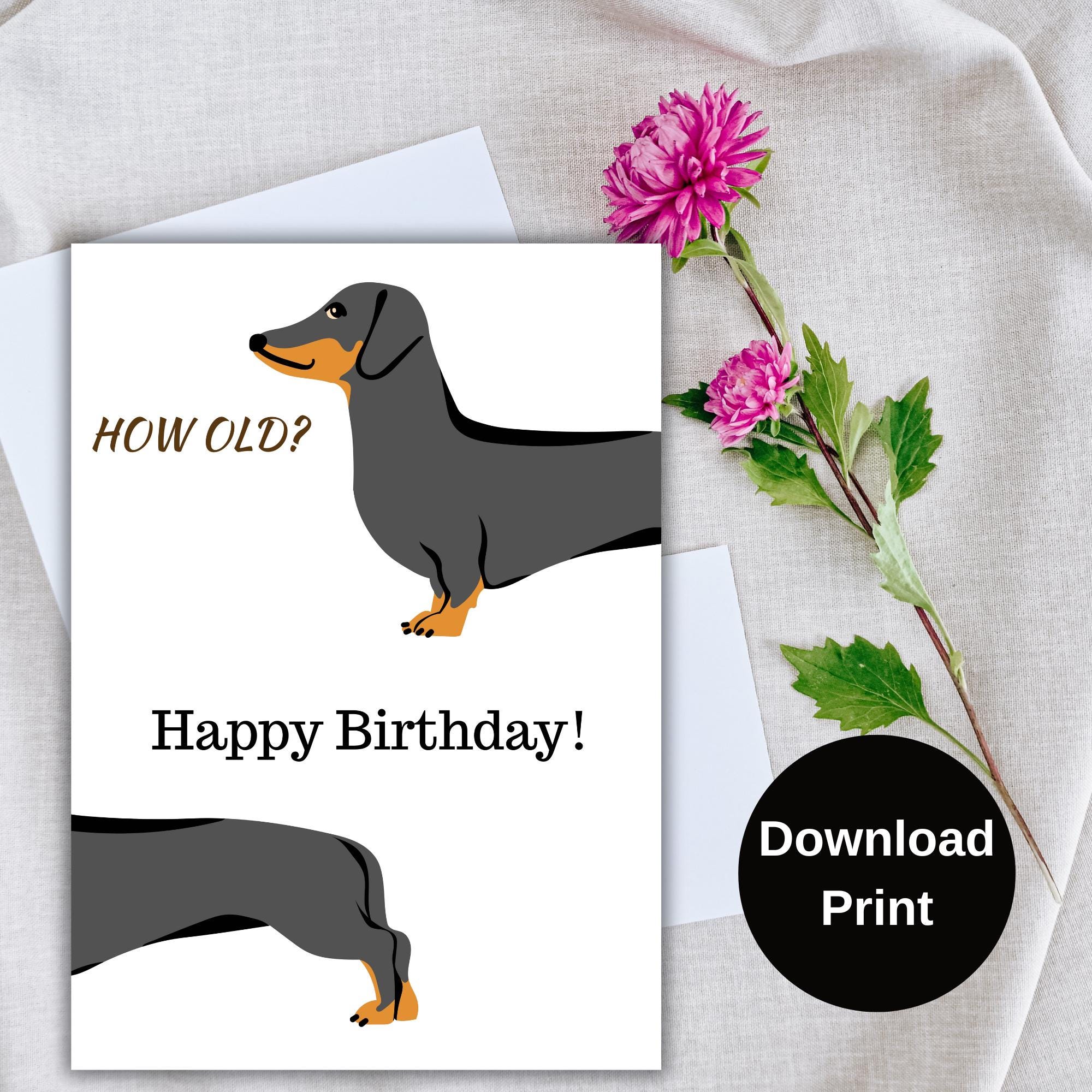 Funny Printable Dog Birthday Card, Funny Printable Happy Birthday Card ...