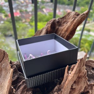 May include: A black gift box with a white interior sits atop a patterned box, resting on a piece of driftwood. The box contains small, light purple objects. The background features a blurred view of a cityscape and a decorative metal railing.