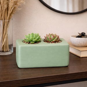 Puede incluir: Una jardinera rectangular verde claro con dos plantas suculentas. Una suculenta es verde, la otra es verde con puntas rojas. La jardinera está sobre una superficie marrón oscuro, con un jarrón de cristal y un cuenco en el fondo.