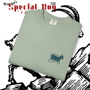 Prepotente Special Boy Shirt || Dungeon Crawler Carl Shirt, Matt Dinniman Merch, Comfort Colors image 13