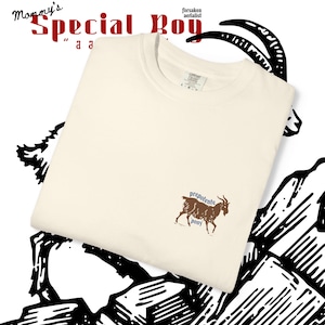 Prepotente Special Boy Shirt || Dungeon Crawler Carl Shirt, Matt Dinniman Merch, Comfort Colors image 11