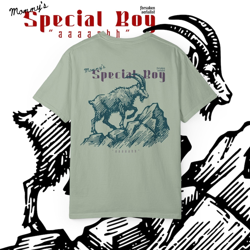Prepotente Special Boy Shirt || Dungeon Crawler Carl Shirt, Matt Dinniman Merch, Comfort Colors Bay