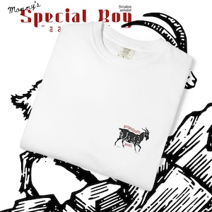 Prepotente Special Boy Shirt || Dungeon Crawler Carl Shirt, Matt Dinniman Merch, Comfort Colors image 9