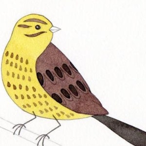 Zigolo giallo - Piccola illustrazione originale su carta