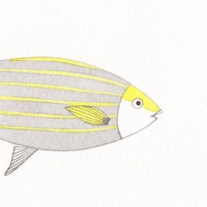 Pesce salpa ~ Illustrazione originale su carta