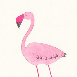 Fenicottero rosa - illustrazione originale su carta