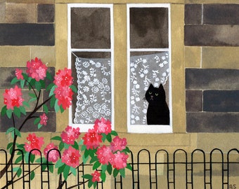 Märzmont Cat ~ 15 x 15 cm signierter Kunstdruck ~ Schwarzes Katzenfenster ~ Edinburgh viktorianische Heimat ~ Weißer Spitzenvorhang ~ Schottland ~ Annalisa Salis