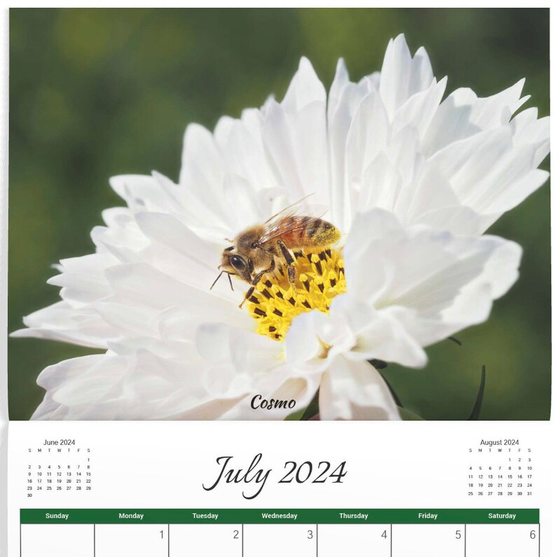 2024 Honey Bee Calendar Etsy