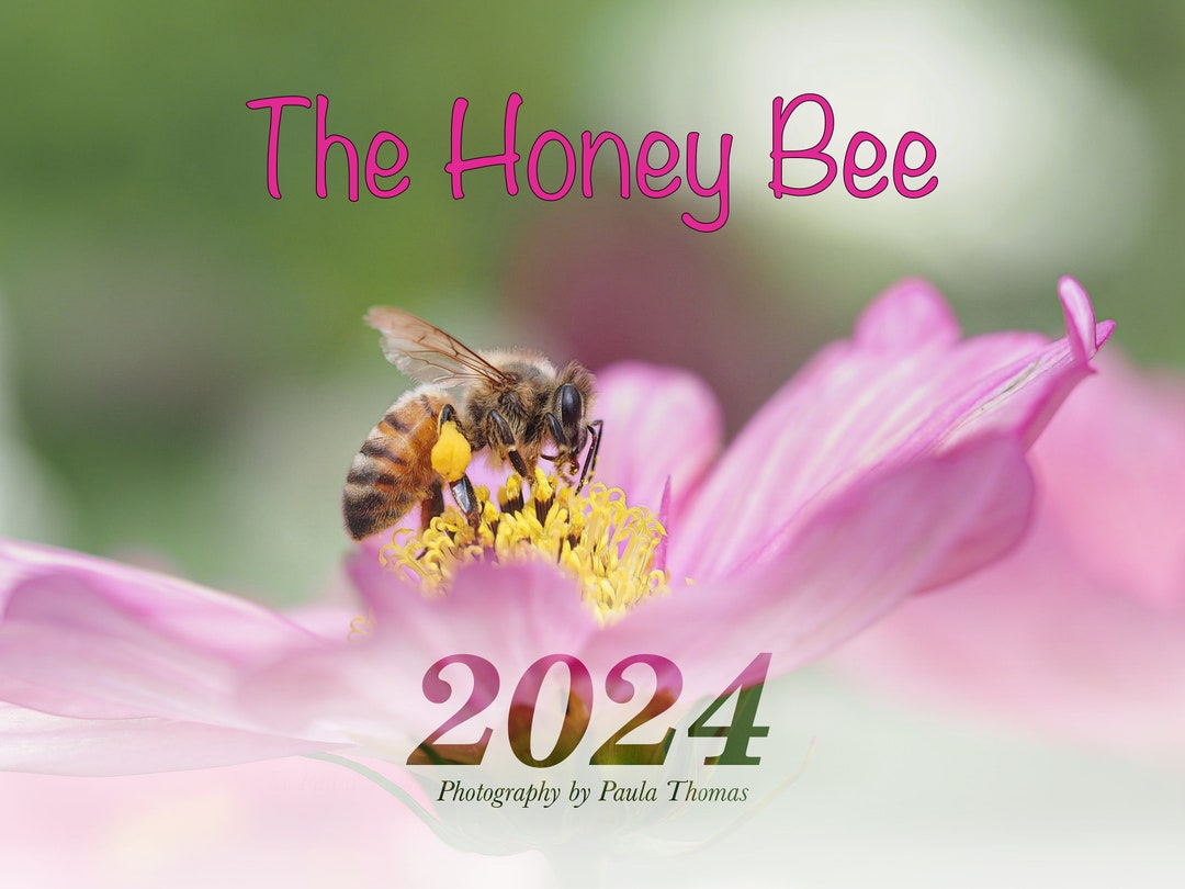2024 Honey Bee Calendar Etsy