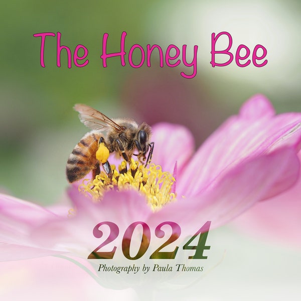 2024 Bee Calendar Etsy