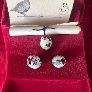 May include: A rolled up scroll with a black string tied around it. The scroll is on a red velvet surface. There are three quail eggs on the surface, one of which is cracked open.