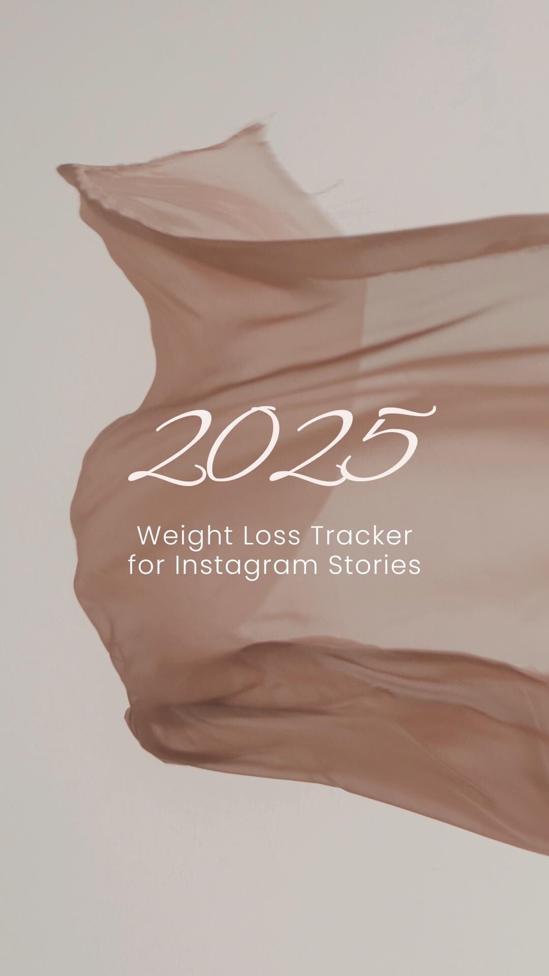 2025 Aesthetic Weight Loss Tracker - Instagram Story Template - Etsy