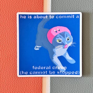Adesivi in vinile con meme di gatti divertenti, regalo perfetto per gli amanti dei gatti / Adesivi impermeabili per bottiglie d&#39;acqua, computer portatili, quaderni, bagagli e Kindle