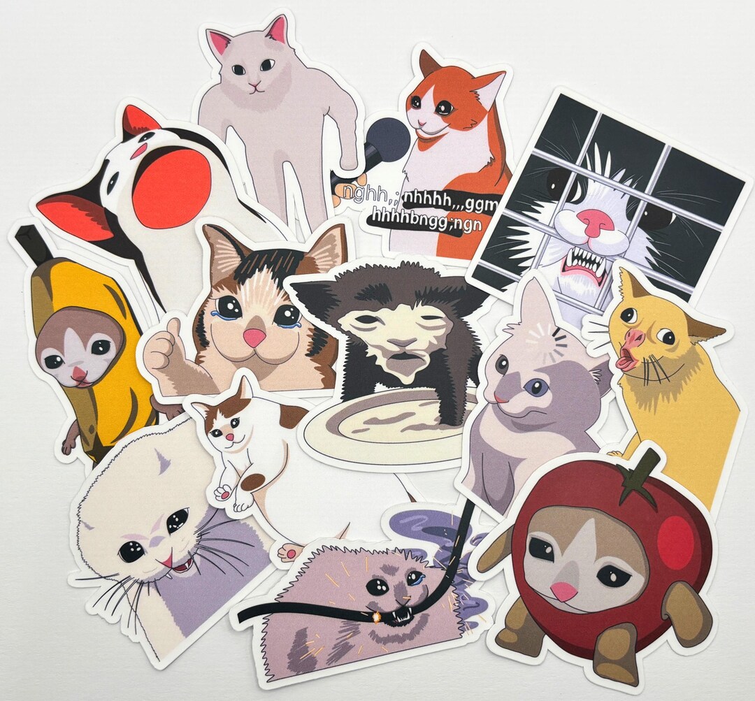 Funny Cat Meme Vinyl Stickers for Waterbottles, Notebooks, Laptops, and ...