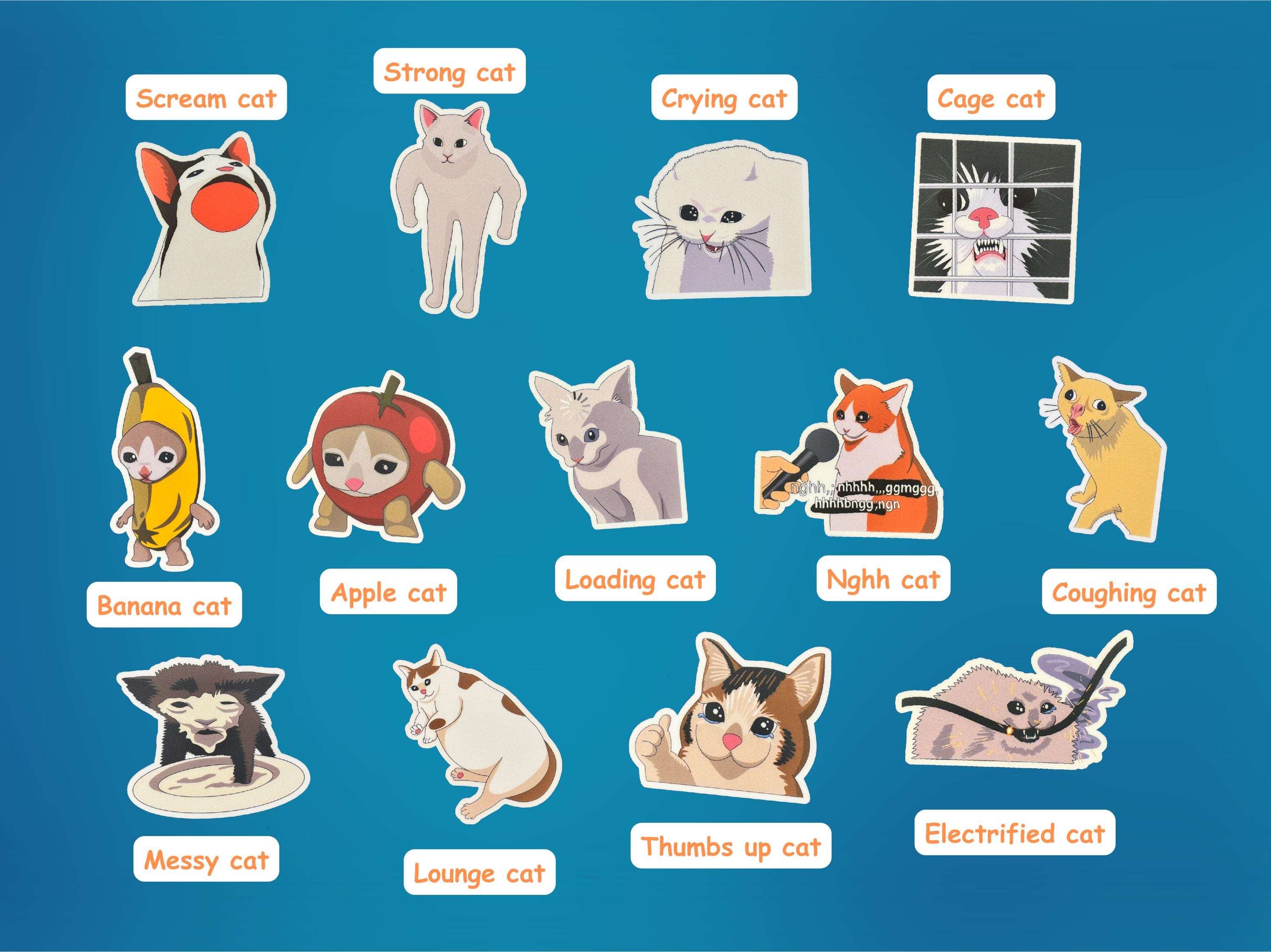 Funny Cat Meme Vinyl Sticker Packs for Waterbottles, Laptops, Notebooks ...