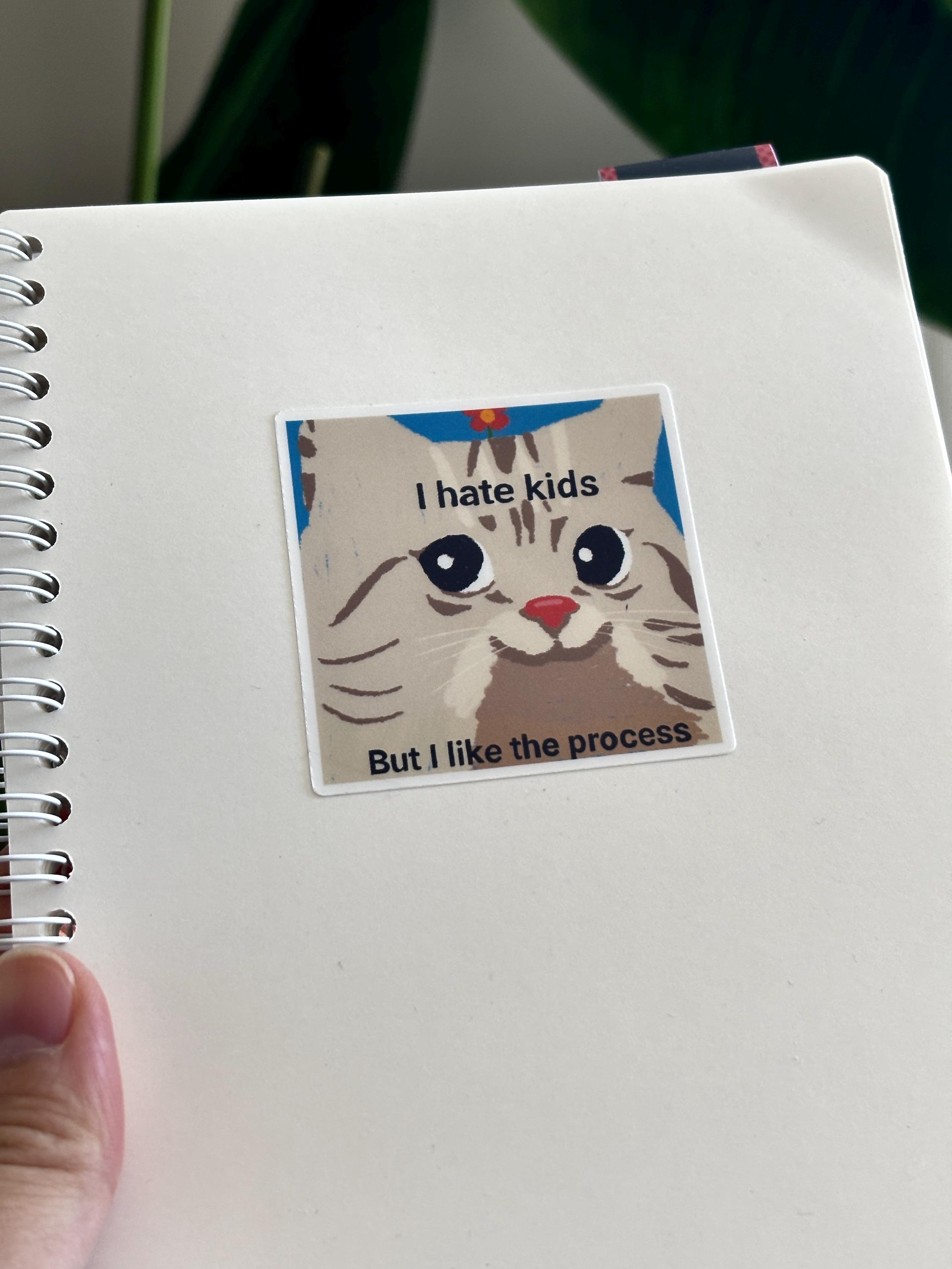 Funny Cat Meme Vinyl Stickers Perfect Gift for Cat Lovers | Waterproof ...