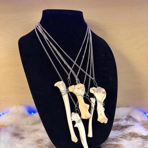 Real Bone Necklace - Etsy