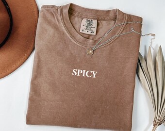 Comfort Colors Spicy Shirt: Sarcastic Sassy Graphic Tee