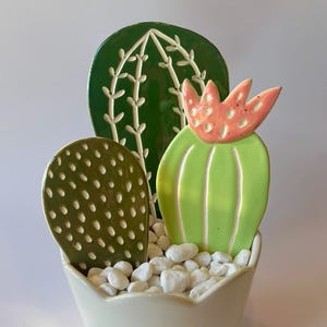 Cactus de cerámica - Planta de interior de cerámica