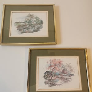 A Pair of Botanical Vintage Framed Prints