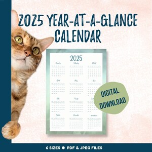 2025 Year-at-a-Glance wall calendar, full year printable calendar for home or office, yearly planning tool