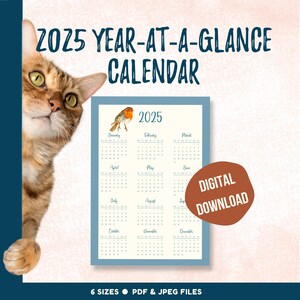 2025 Year-at-a-Glance wall calendar, full year printable calendar for home or office, yearly planning tool with pretty graphics