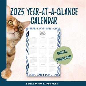 2025 Year-at-a-Glance wall calendar, full year printable calendar for home or office, yearly planning tool with fun graphics