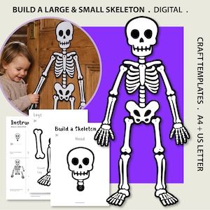 May include: A digital craft template for building a skeleton, featuring black and white illustrations of bones on A4 and US Letter pages. The set includes instructional sheets and a large assembled skeleton graphic with text reading BUILD A LARGE & SMALL SKELETON . DIGITAL . CRAFT TEMPLATES . A4 + US LETTER.