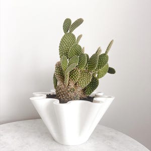 Modern Planter Pot Plant Pot Unique Planter Cactus Planter with drainage Indoor Planter Cute Planter Drainage Planter Indoor Medium
