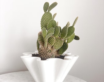 Vaso de plantas com babados impresso em 3D e bandeja coletora de gotas.