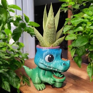 May include: A green and blue alligator-shaped planter holding a small pot with a succulent plant. The planter has large eyes and a detailed, textured design. The succulent has long, pointed green leaves.