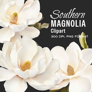 Southern Magnolia Clipart | White Magnolia Clip Art | Graphics Floral | Magnolia PNG | Commercial Use Flower Clipart