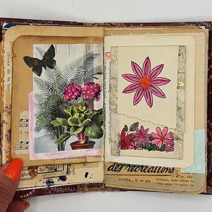 May include: Open journal with vintage pages featuring botanical illustrations and a butterfly. The left page displays a potted plant and a butterfly. The right page has a pink flower drawing and text.
