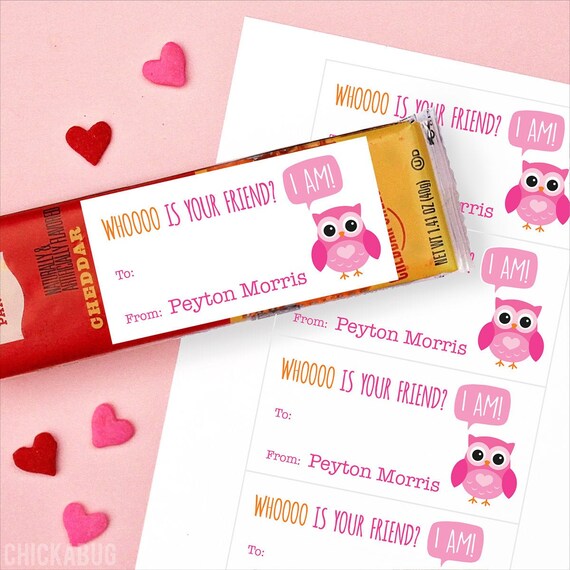Valentine's Day Stickers - Pink Owl Valentines - Whooo is Your Friend? I AM! - Sheet of 14 Il_570xn