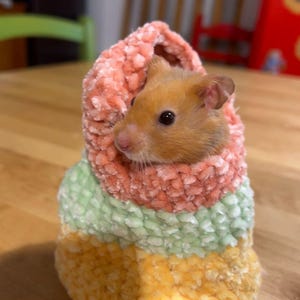 May include: A small hamster in a multi-colored plush pet carrier. The carrier is pink, green, and yellow. The hamster is brown and white.