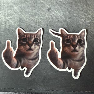 Cat Middle Finger Waterproof sticker