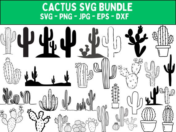 Cactus SVG Bundle: Succulent Cut Files for Cricut, Silhouette (Digital  Download)