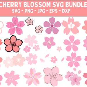 Cherry Blossom SVG Bundle: Sakura Flower Graphics (Digital Download)