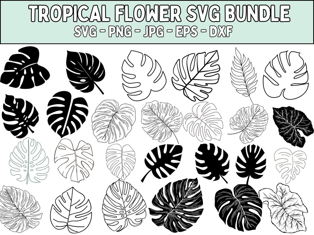 Tropical Leaf SVG Bundle: Palm & Monstera Leaves Clipart (digital ...