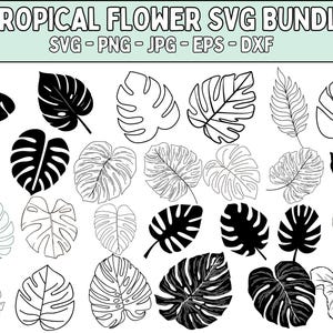 Tropical Leaves Svg Bundle, Palm Branch Svg, Monstera leaf Svg, Palm leaf Svg, Tropical Leaves, Jungle leaves Clipart, Cricut, Silhouette