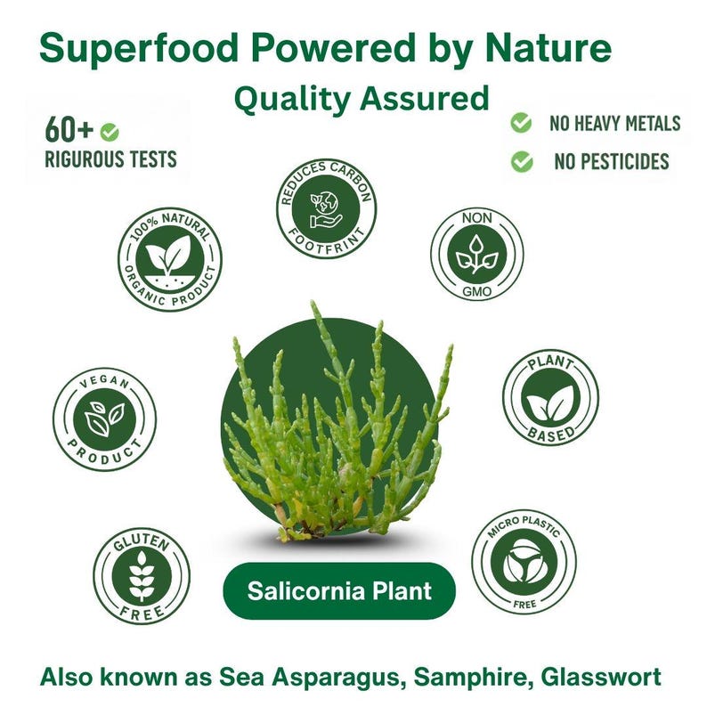 Made from 100% dehydrated Salicornia, Green Salicornia Salt is a low sodium plant-based salt substitute with 50% less sodium. Mineral-rich with potassium, magnesium, calcium, and iron, it supports heart health and blood pressure management. Vegan, Non-GMO, gluten-free, no additives, featuring natural umami taste. Perfect for healthy cooking, seasoning, and clean eating lifestyles