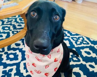 XL Garden Theme Bandanas