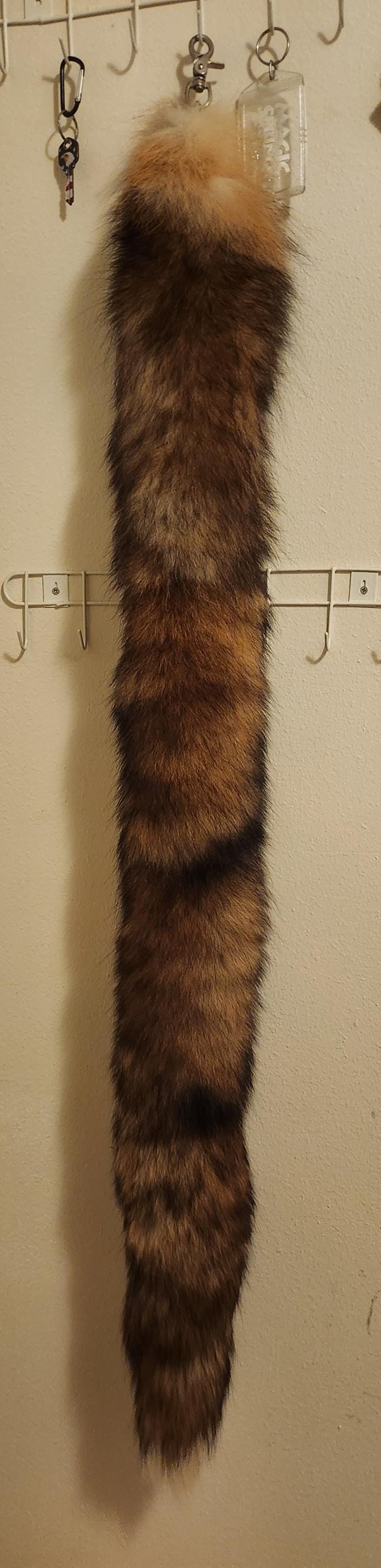 Massively Huge XXL Fox Tails - Etsy